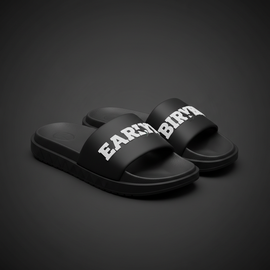 Early Bird Slides